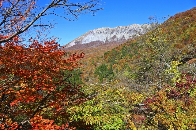 a0242438_20342559.jpg