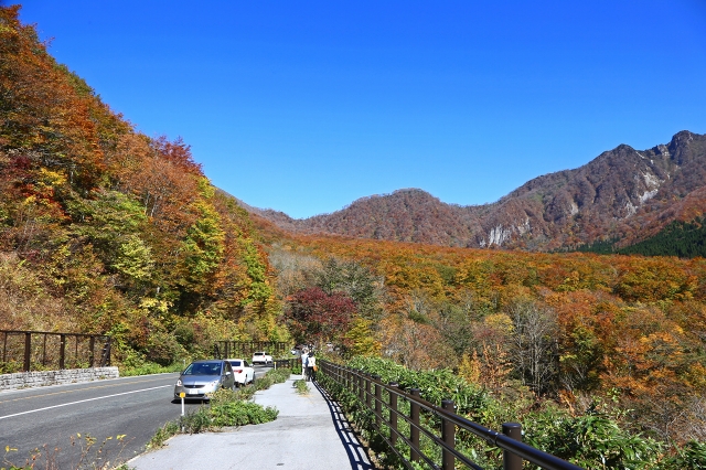 a0242438_20343051.jpg
