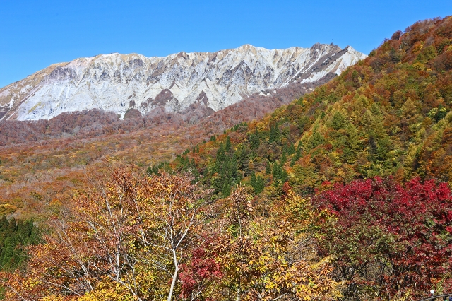 a0242438_2034315.jpg