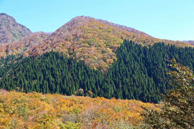 a0242438_203439100.jpg