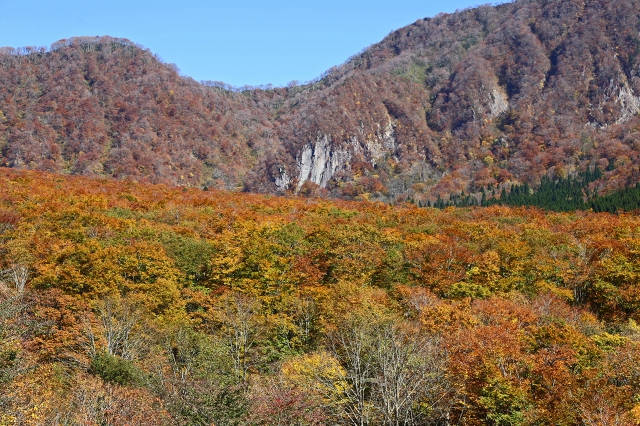 a0242438_20344527.jpg