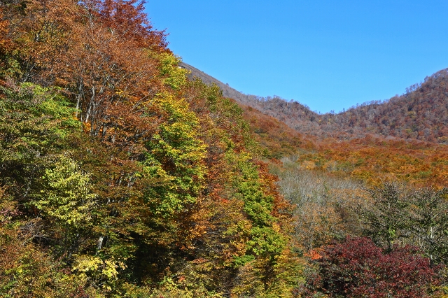 a0242438_2035045.jpg