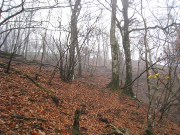 c0077338_2362743.jpg