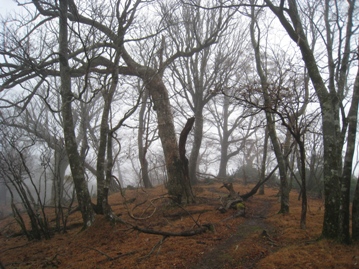 c0077338_2363769.jpg