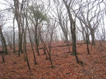 c0077338_2365055.jpg