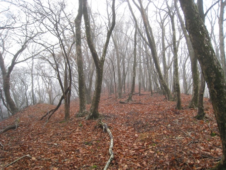 c0077338_237141.jpg