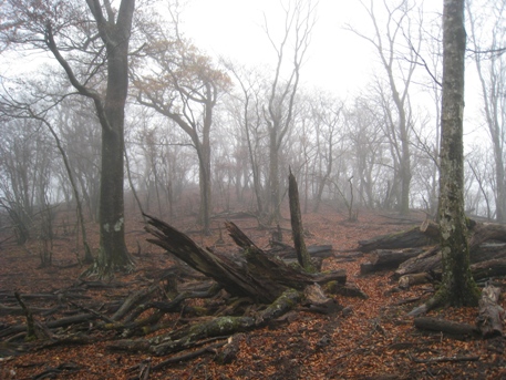 c0077338_237156.jpg