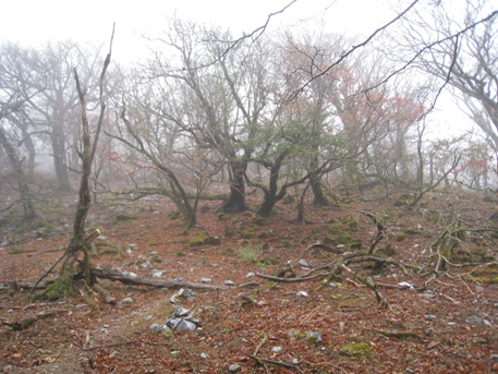 c0077338_2372538.jpg