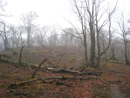 c0077338_2373814.jpg