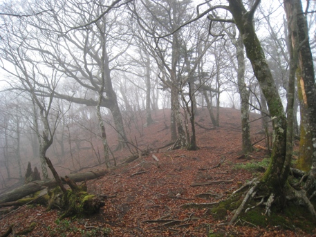 c0077338_238077.jpg