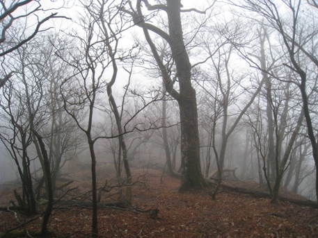 c0077338_238875.jpg