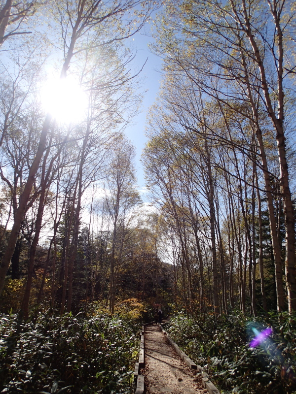 b0190242_2136201.jpg