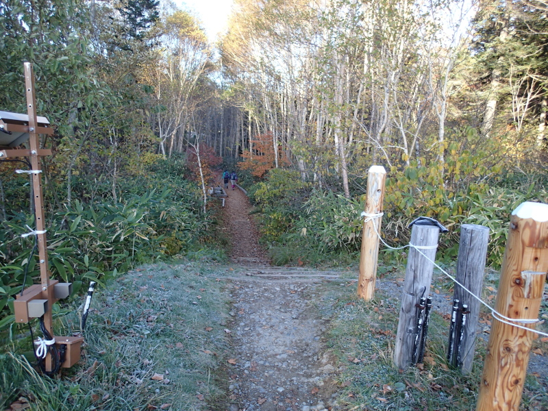 b0190242_21375060.jpg