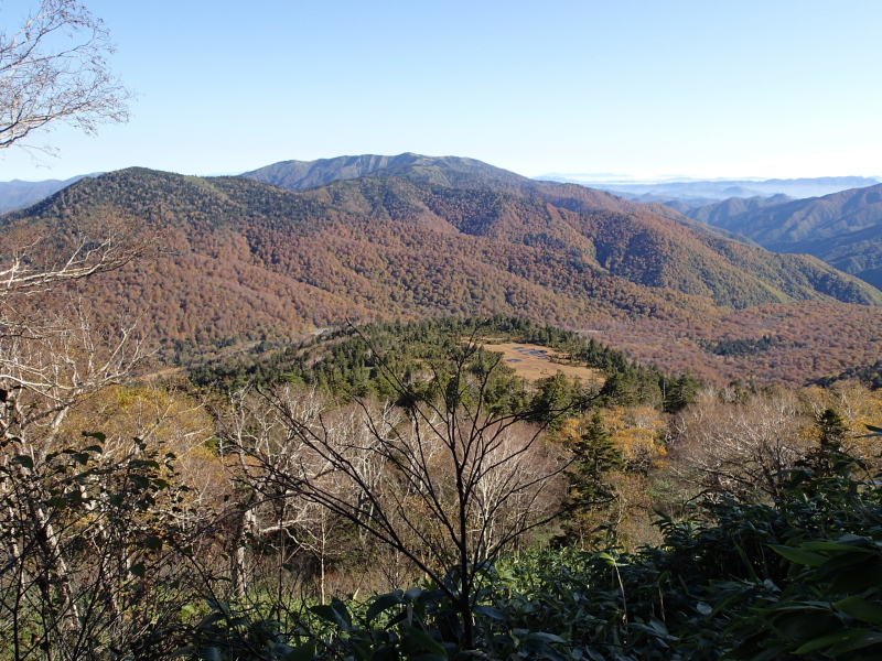 b0190242_21411221.jpg