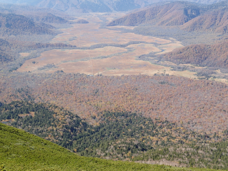 b0190242_21492737.jpg