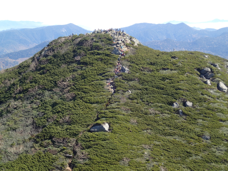 b0190242_21542534.jpg