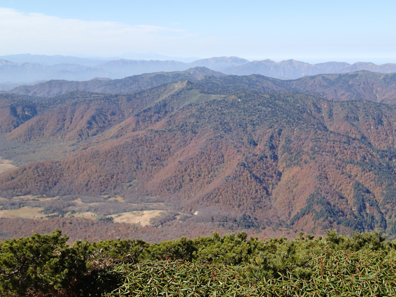 b0190242_21551425.jpg