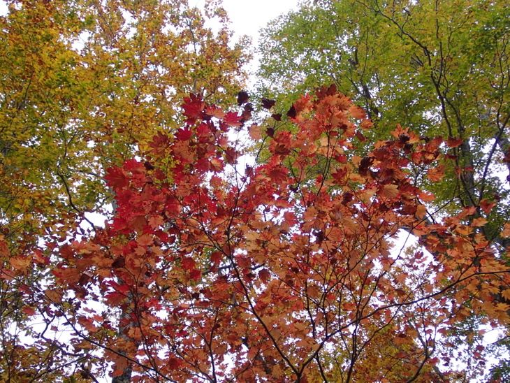 b0190242_22104882.jpg