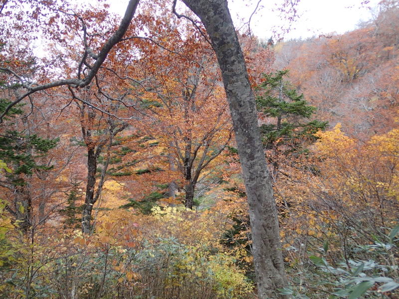 b0190242_22111665.jpg