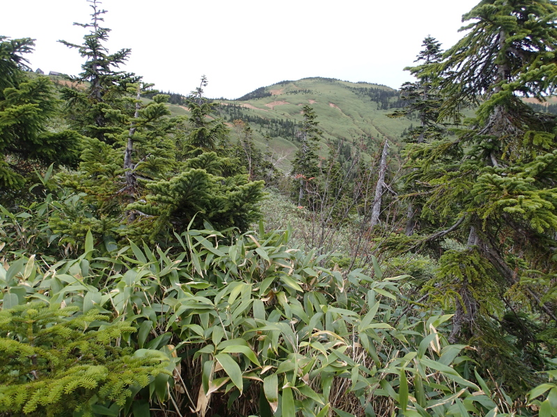 b0190242_22142760.jpg