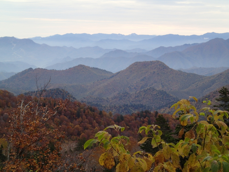 b0190242_2214513.jpg