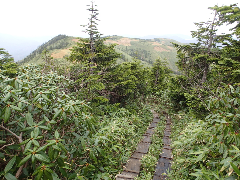 b0190242_22182444.jpg