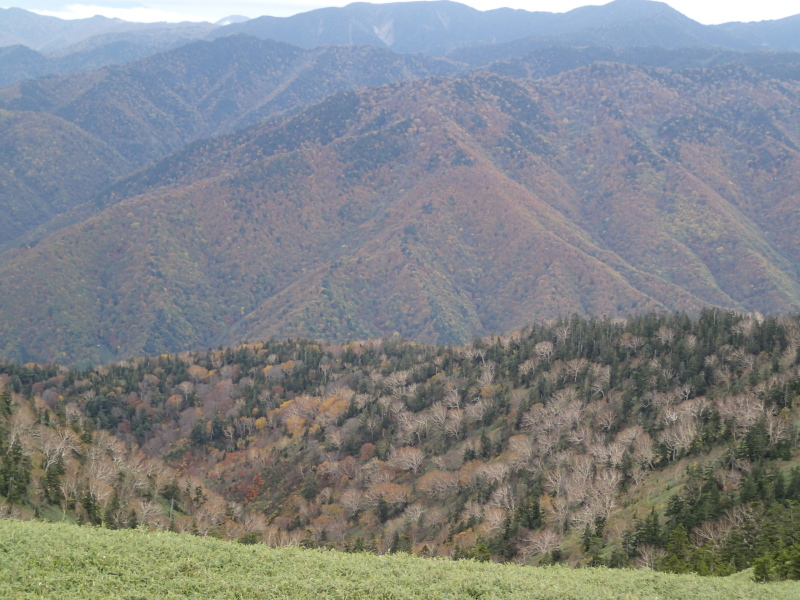 b0190242_22202593.jpg