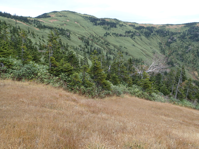 b0190242_22233795.jpg