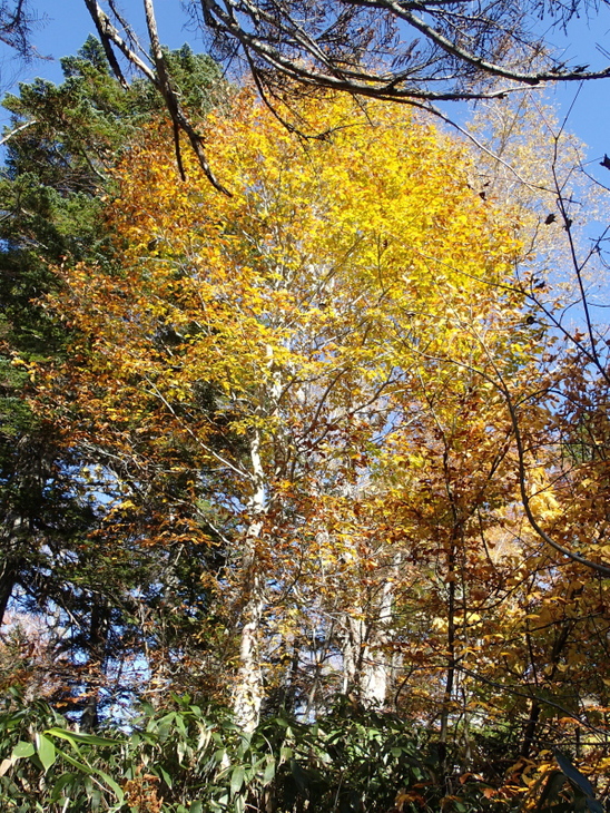 b0190242_2224726.jpg