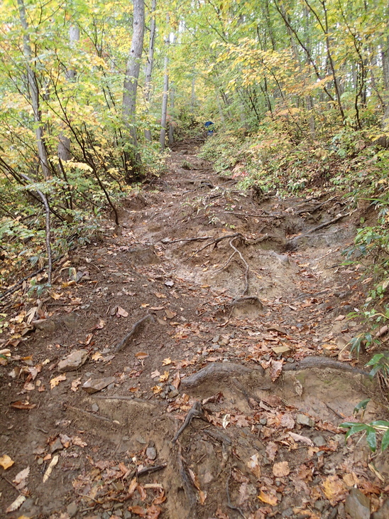 b0190242_22272995.jpg
