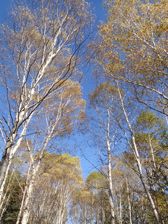 b0190242_2234635.jpg