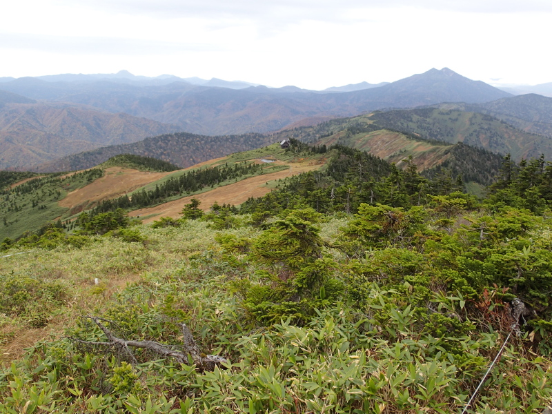 b0190242_2236976.jpg