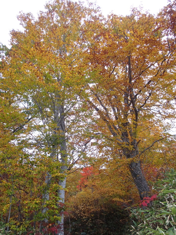 b0190242_2285059.jpg