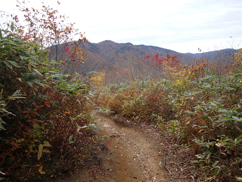 b0190242_229969.jpg