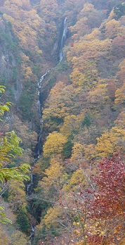 c0225143_14283312.jpg