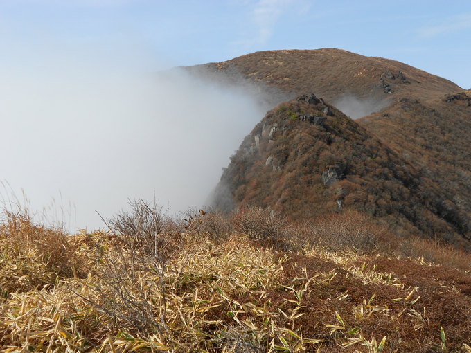 a0206345_1110376.jpg