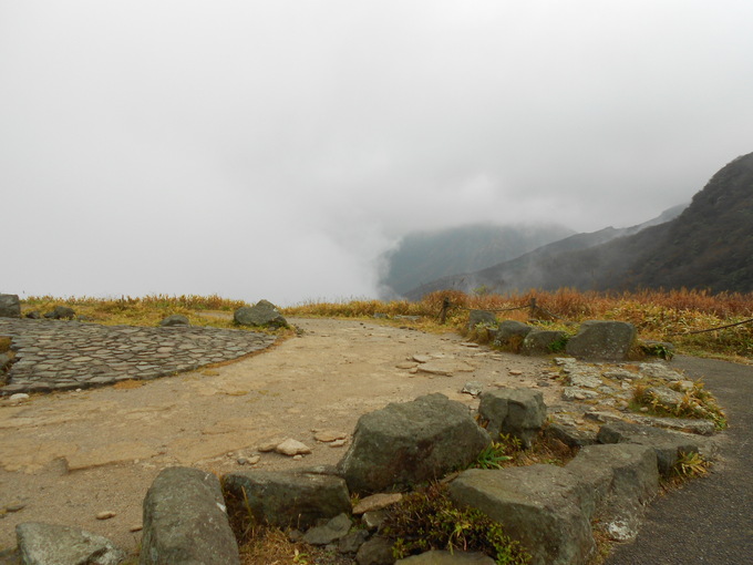 a0206345_9505352.jpg