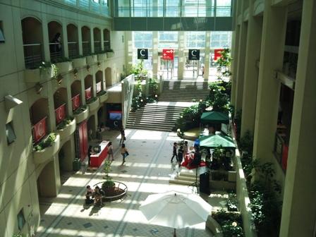 f0138645_1745463.jpg