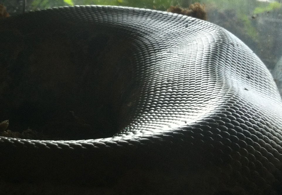 e0252746_0293743.jpg