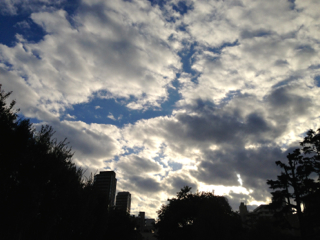 f0179947_1411939.jpg