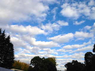 f0179947_1412174.jpg