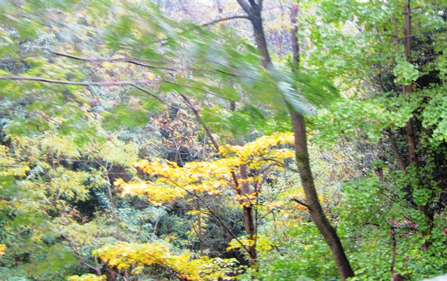 b0289649_20102226.jpg
