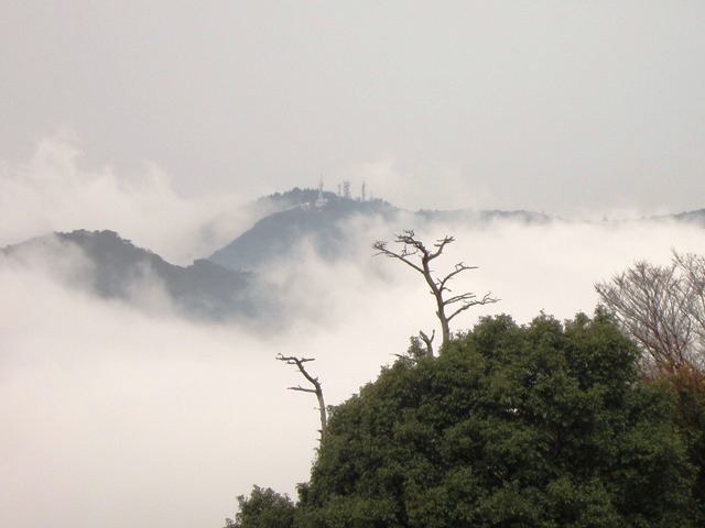 b0289649_20273069.jpg