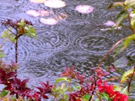 b0289649_20533889.jpg