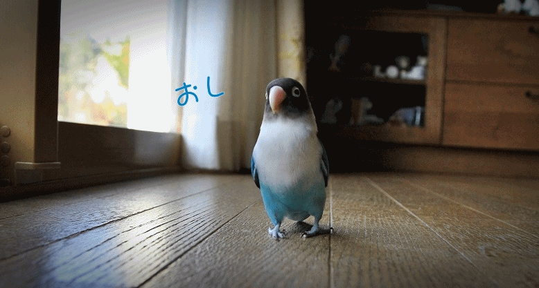 c0145250_10584258.gif