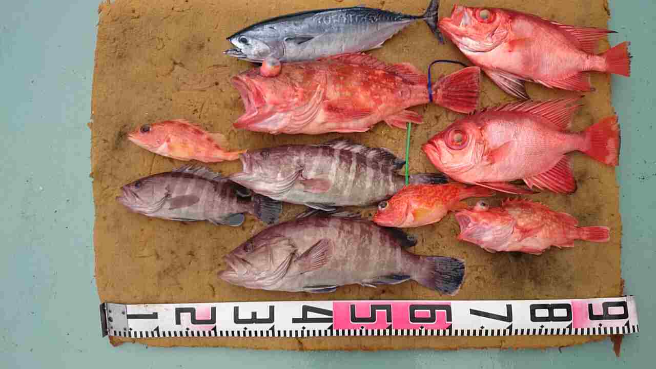 a0248152_1841028.jpg