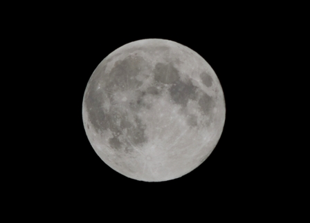 b0173754_15510505.jpg