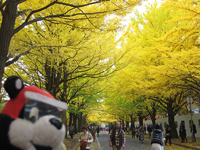 b0159557_1353583.jpg