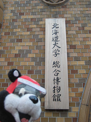 b0159557_1356031.jpg