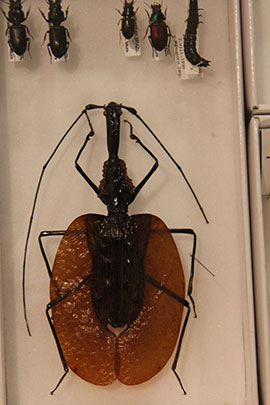b0159557_13564440.jpg